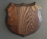 Trophäenschild Wildschwein