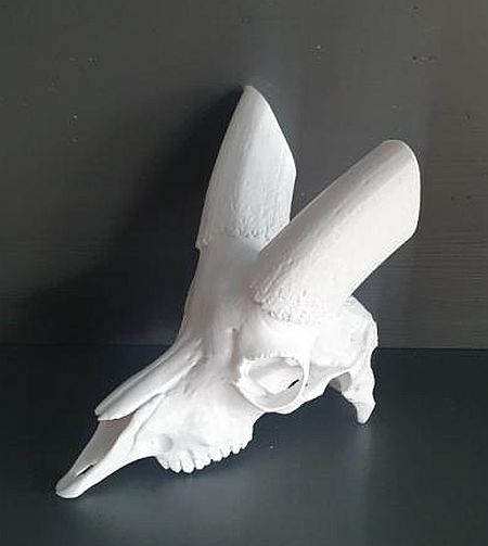 Resized_20210226_102819