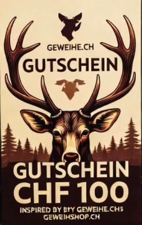 Gutschein_100_chf