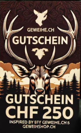Gutschein_250_chf