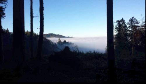 Morgengrauen